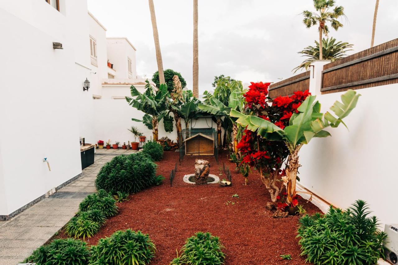 La Palmera - Fabulosa Casa, Lanzarote, Playa Honda Playa Honda  Zewnętrze zdjęcie
