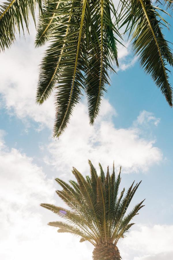 La Palmera - Fabulosa Casa, Lanzarote, Playa Honda Playa Honda  Zewnętrze zdjęcie