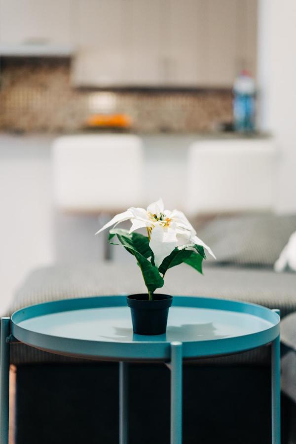 La Palmera - Fabulosa Casa, Lanzarote, Playa Honda Playa Honda  Zewnętrze zdjęcie