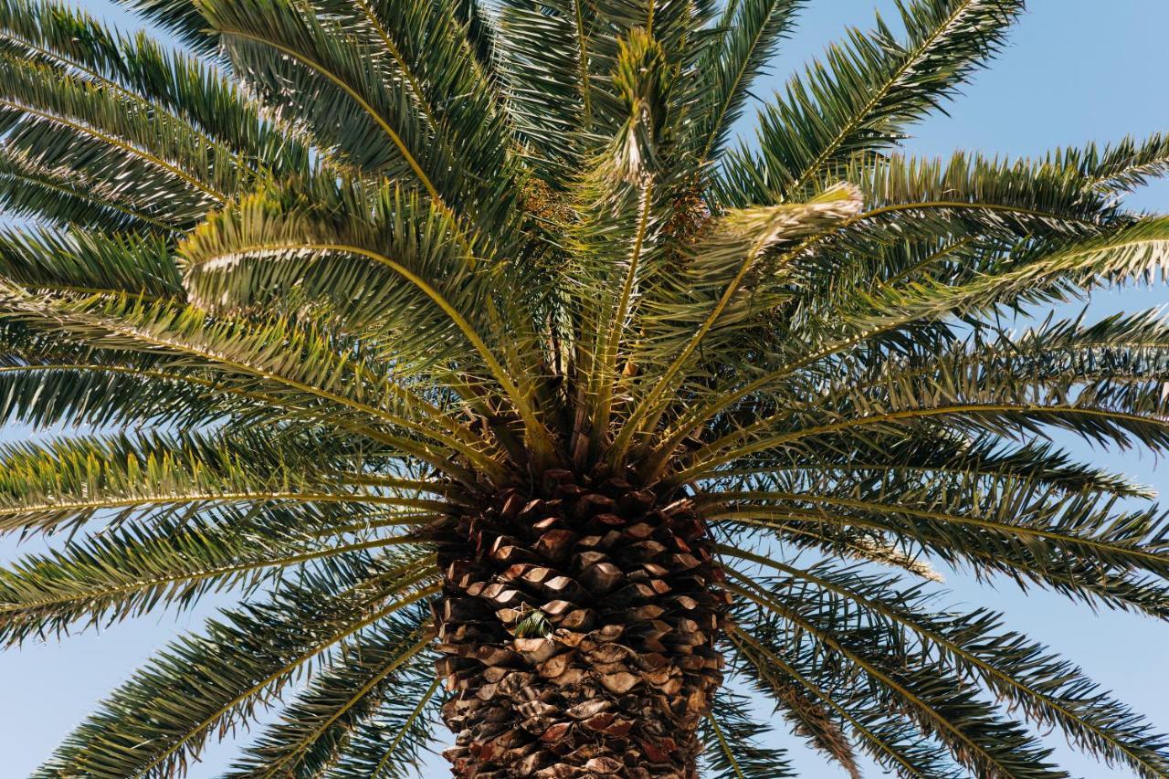 La Palmera - Fabulosa Casa, Lanzarote, Playa Honda Playa Honda  Zewnętrze zdjęcie