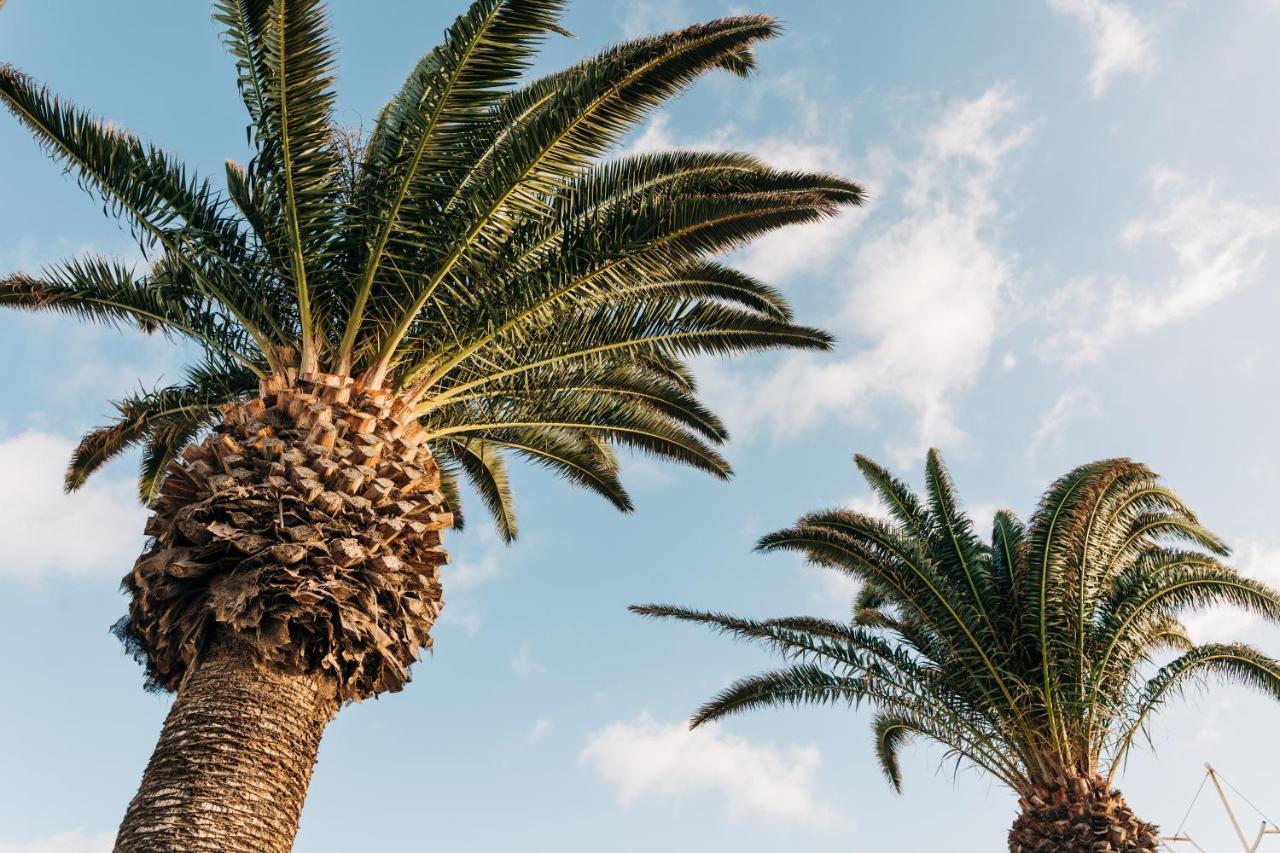 La Palmera - Fabulosa Casa, Lanzarote, Playa Honda Playa Honda  Zewnętrze zdjęcie